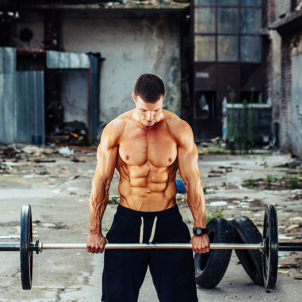 Los primeros pasos en la musculación